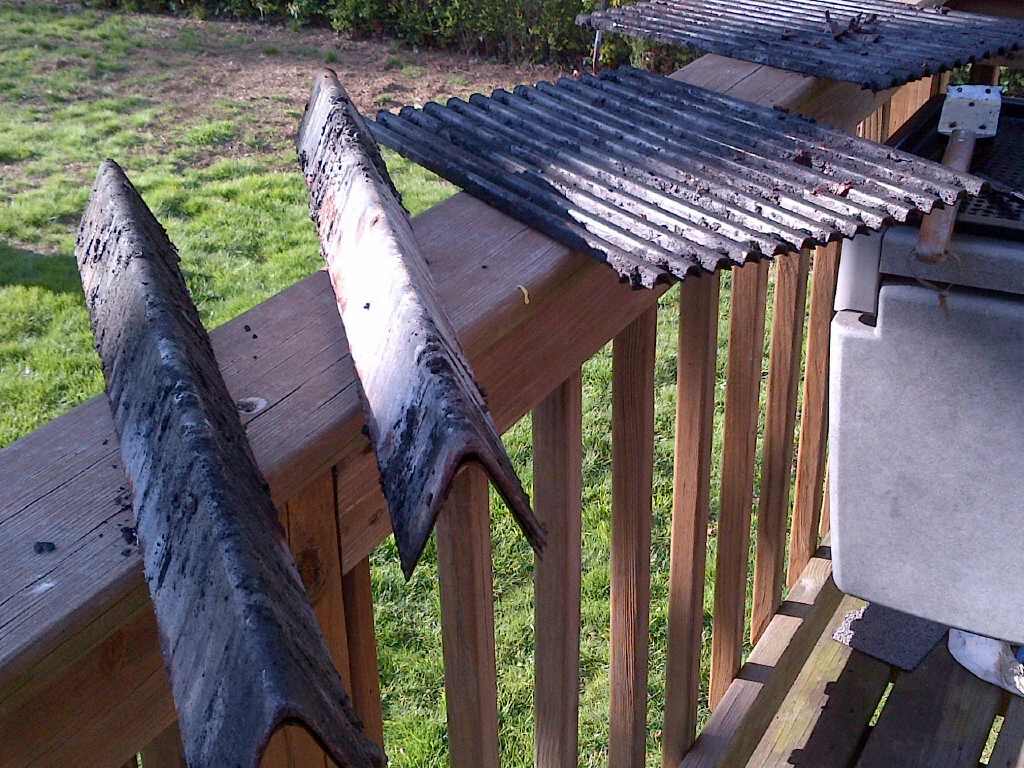 bbq1