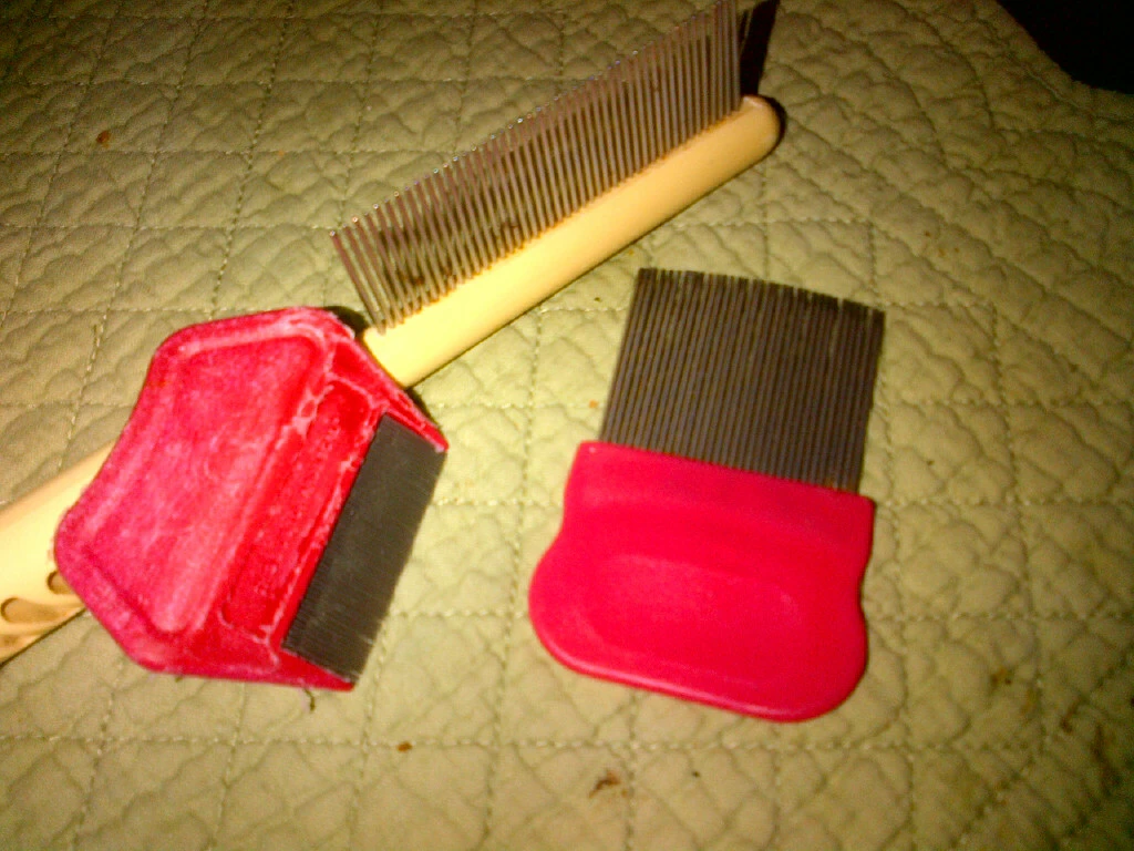lice combs