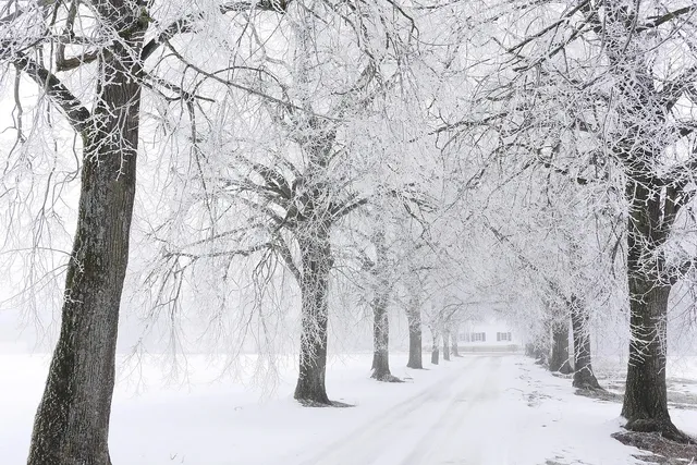 heat freeze