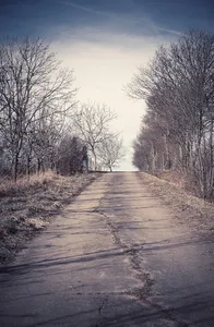 driveway2